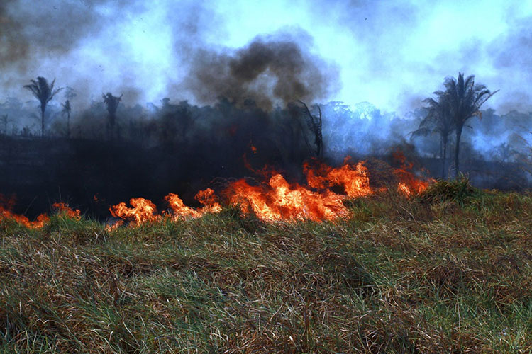 Decreto presidencial suspende permissão de queimadas no Brasil por 60 dias