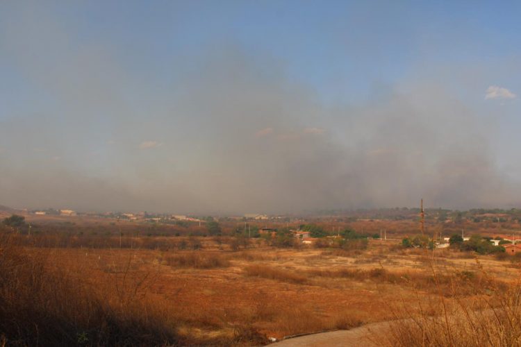 Incêndio em mata nativa na cidade de Sussuapara está controlado