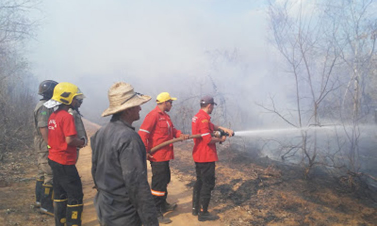 IBAMA vai contratar brigadas contra incêndios no Piauí