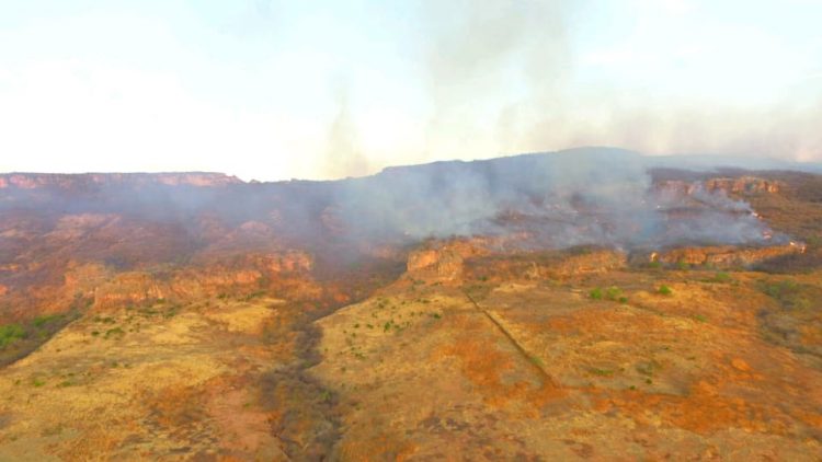 Bombeiros combatem ao mesmo tempo 4 grandes incêndios na região de Picos
