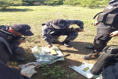 Polícia encontra droga enterrada no povoado Mirolândia