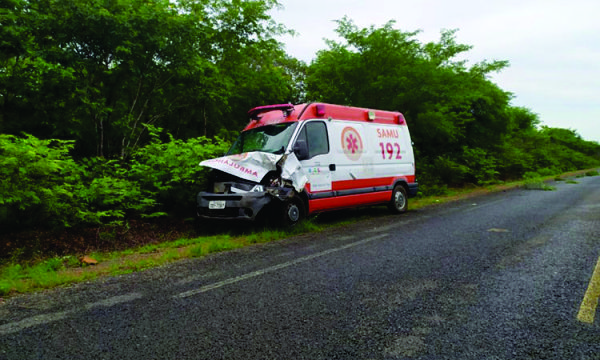 Ambulância colide com animal entre Oeiras e Colônia do Piauí