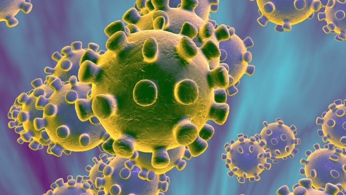 Primeira morte por Coronavírus é registrada no Brasil
