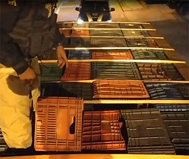 PICOS: Motorista foge e abandona carga de R$ 1,5 milhão em cigarros contrabandeados