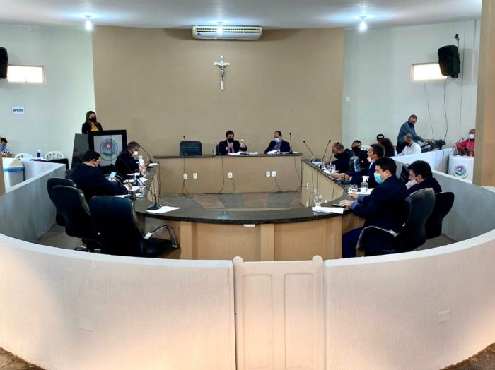 Câmara de Picos vota PL para criação do Conselho de Proteção e Defesa dos Animais
