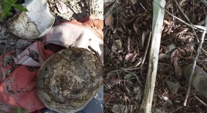 Ossada humana é encontrada por caçador em mata no Piauí