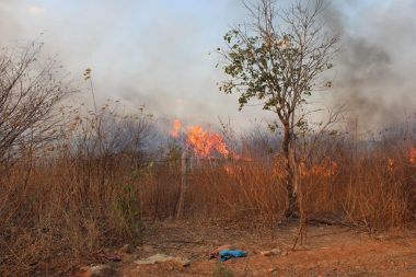 Incêndios na região de Picos já somam aumento de 625% em julho