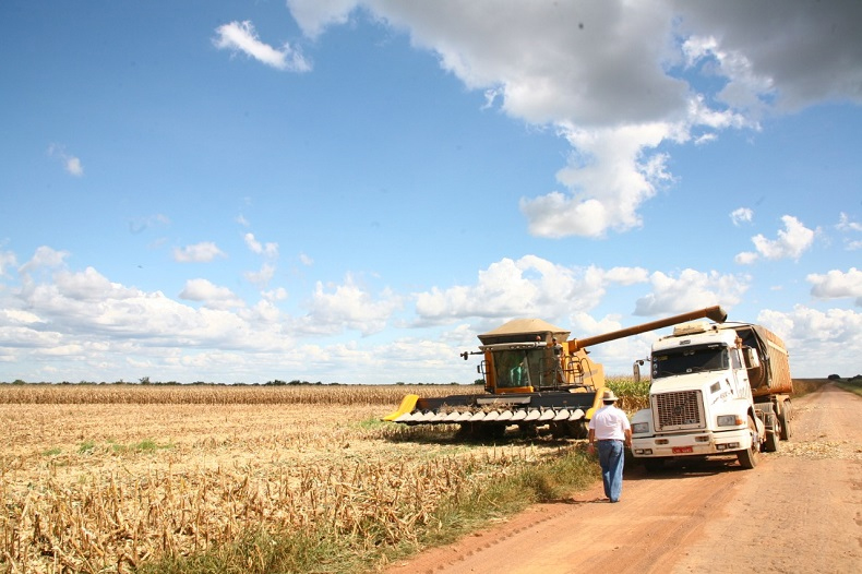 Safra de grãos do Piauí ficará entre as cinco maiores do Brasil