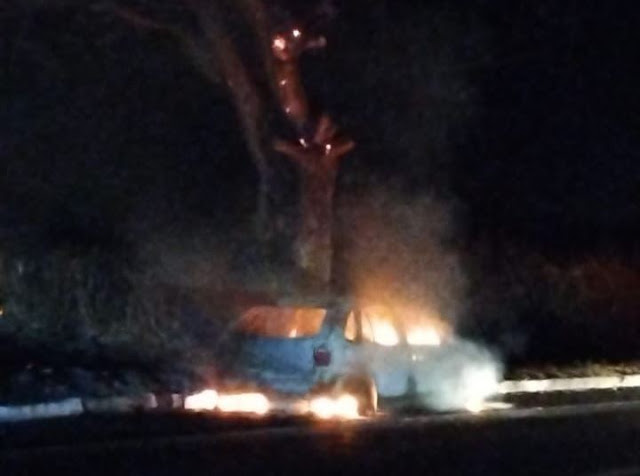 Carro pega fogo após colisão com vaca na BR-316 em Picos
