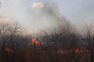 Semarh lança canal de denúncias em caso de incêndios e queimadas ilegais no Piauí