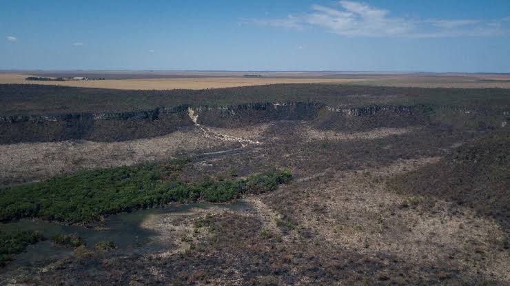 Desmatamento no cerrado do Piauí reduz 59% no primeiro semestre