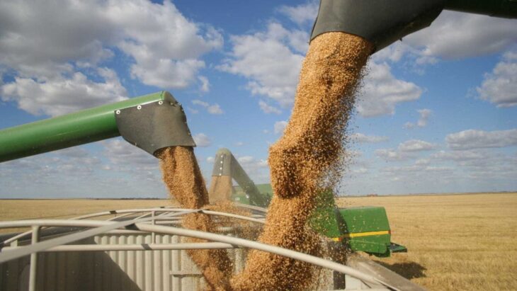 Mudanças climáticas podem afetar produção de grãos no Piauí