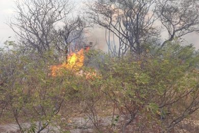 Fogo se alastra a quatro dias na BR-O20 e ameça zona rural de Pio IX
