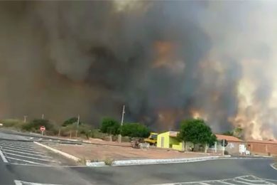 Incêndio em vegetação assusta moradores na BR-020; Veja vídeo