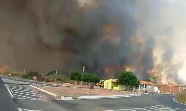 Incêndio em vegetação assusta moradores na BR-020; Veja vídeo