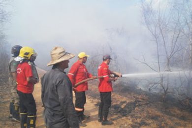 IBAMA vai contratar brigadas contra incêndios no Piauí