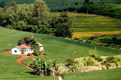 Iniciado prazo para entrega da declaração de propriedade rural