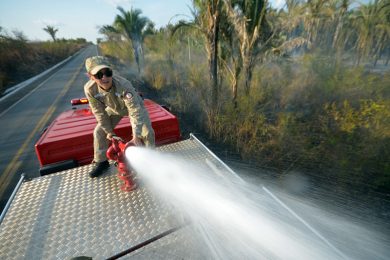 Piauí registra 45 focos de incêndio nos últimos cinco dias