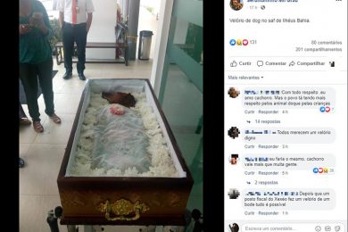 Foto de cachorro em caixão repercute nas redes sociais