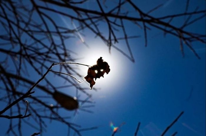 Prefeitura de Picos decreta situação de emergência por conta da estiagem