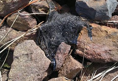 Governo pede esclarecimentos a 11 países sobre origem do óleo