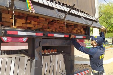 Operação apreende madeira ilegal que construiria 300 casas populares e detém 20 pessoas