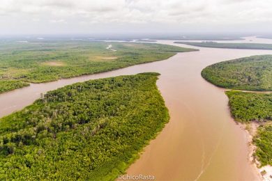 Sete áreas são afetadas por óleo no Delta do Parnaíba