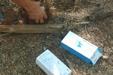 Polícia localiza celulares furtados de loja enterrados em Paulistana