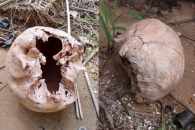 Crânio humano é encontrado em antigo prédio da delegacia de Picos e não há identificação