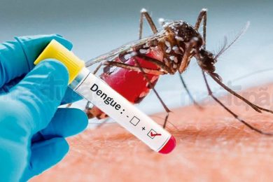 Governo alerta que Piauí e mais 10 estados podem ter surto de dengue