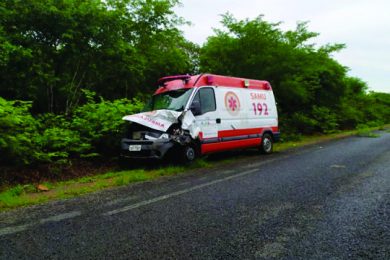 Ambulância colide com animal entre Oeiras e Colônia do Piauí