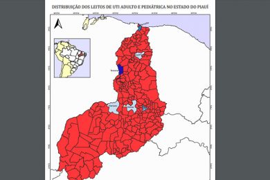 Apenas 6 cidades do Piauí têm leitos de UTI adulto e pediátrica