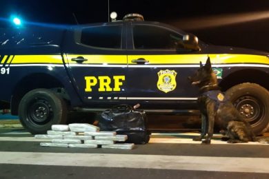 Em Picos, PRF apreende drogas dentro de ônibus avaliados em R$ 22 mil