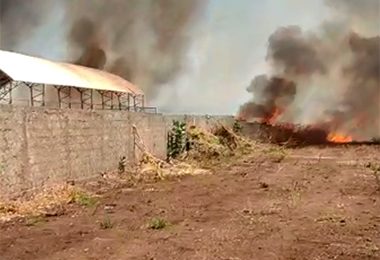 Incêndio atinge campus da Uespi em Picos e destrói laboratório de Agronomia