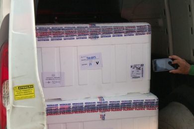 Piauí recebe mais 36,6 mil doses da Coronavac e vai vacinar idosos