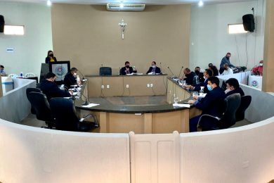 Câmara de Picos vota PL para criação do Conselho de Proteção e Defesa dos Animais