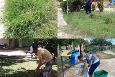 Moradores pagam por limpeza na praça Tantonho Silva no bairro Ipueiras