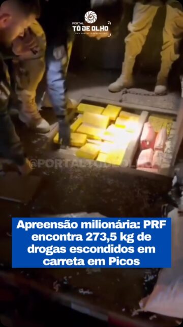 A Polícia Rodoviária Federal (PRF) apreendeu 273,5 quilos de drogas na noite deste domingo (2), durante uma fiscalização na BR-407, em Picos, Sul do Piauí. Os entorpecentes estavam escondidos em um compartimento oculto no chassi de uma carreta abordada por equipes da Unidade Operacional da PRF.

A ocorrência foi registrada por volta das 19h, no km 425 da rodovia. O veículo, um caminhão-trator Mercedes-Benz com dois semirreboques, transportava cerca de 35 toneladas de granulado reciclado de pneus de Inhumas (GO) para Eusébio (CE). O nervosismo do motorista, de 35 anos, levou os policiais a realizarem uma vistoria detalhada.

Após o descarregamento da carga, os agentes localizaram um fundo falso entre o piso e o chassi da carreta, onde estavam escondidos 221,5 quilos de skunk e 52 quilos de cloridrato de cocaína, além de dois celulares, dois cartões bancários e documentos.

O motorista informou que recebeu o veículo já carregado em Porto Velho (RO) e que receberia R$ 10 mil para transportar a carga ilícita. Ele foi preso em flagrante e encaminhado, juntamente com o material apreendido, à Delegacia da Polícia Federal em Picos. A carreta também foi recolhida ao pátio da PRF.

Segundo a PRF, a ação está entre as maiores apreensões de drogas realizadas na região de Picos em 2026 e reforça o combate ao tráfico interestadual de entorpecentes nas rodovias federais do Piauí.

Siga: @portaltodeolho