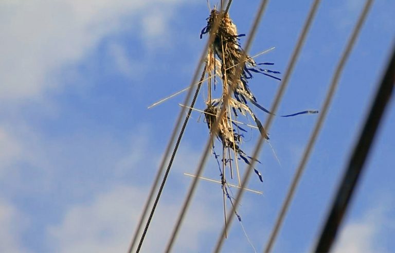 Piauí já registra mais de 500 ocorrências de pipas na rede elétrica em 2021