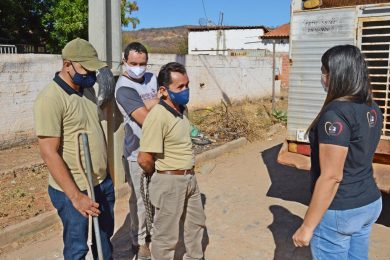 Projeto de castração de animais de rua é iniciado no bairro Parque de Exposição