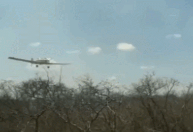 Nove dias de incêndio em São Raimundo Nonato; Whindersson Nunes faz desabafo