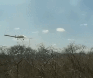 Nove dias de incêndio em São Raimundo Nonato; Whindersson Nunes faz desabafo