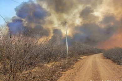 Incêndio de grandes proporções ameaça parque nacional da Serra da Capivara
