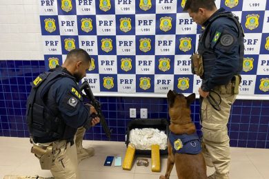 PRF apreende maconha e cocaína avaliada em R$ 255 mil em ônibus no Piauí