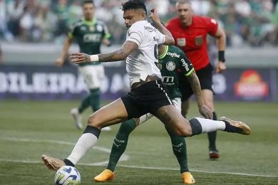 Botafogo vence Palmeiras em SP e dispara na liderança do Brasileiro