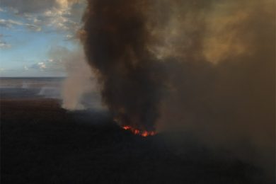 Piauí registra aumento e atinge mais de 1.400 focos de queimadas em agosto
