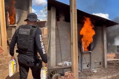 Droga avaliada em R$ 10 milhões é incinerada em Picos
