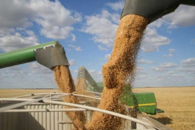 Municípios do Piauí estão entre maiores produtores de grãos