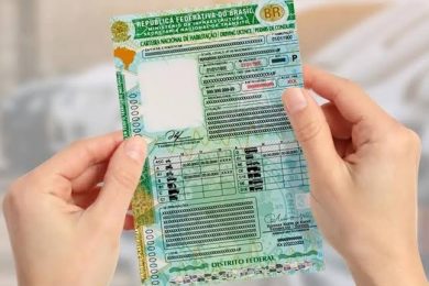 Como renovar a CNH de forma on-line pelo Gov.pi Cidadão
