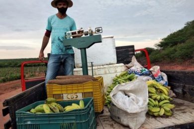 Programas disponibilizam R$ 20 milhões para a compra de alimentos